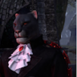 Meet your Posher, Nathan